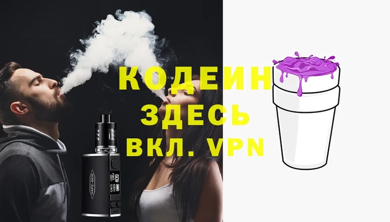 цена наркотик  blacksprut ТОР  Codein Purple Drank  Елизово 